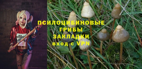 ECSTASY Лагань