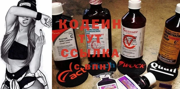 ECSTASY Лагань