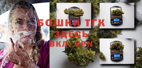ECSTASY Лагань
