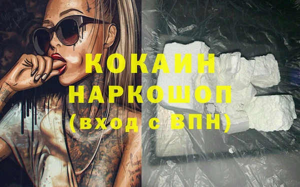 ECSTASY Лагань