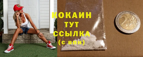 ECSTASY Лагань
