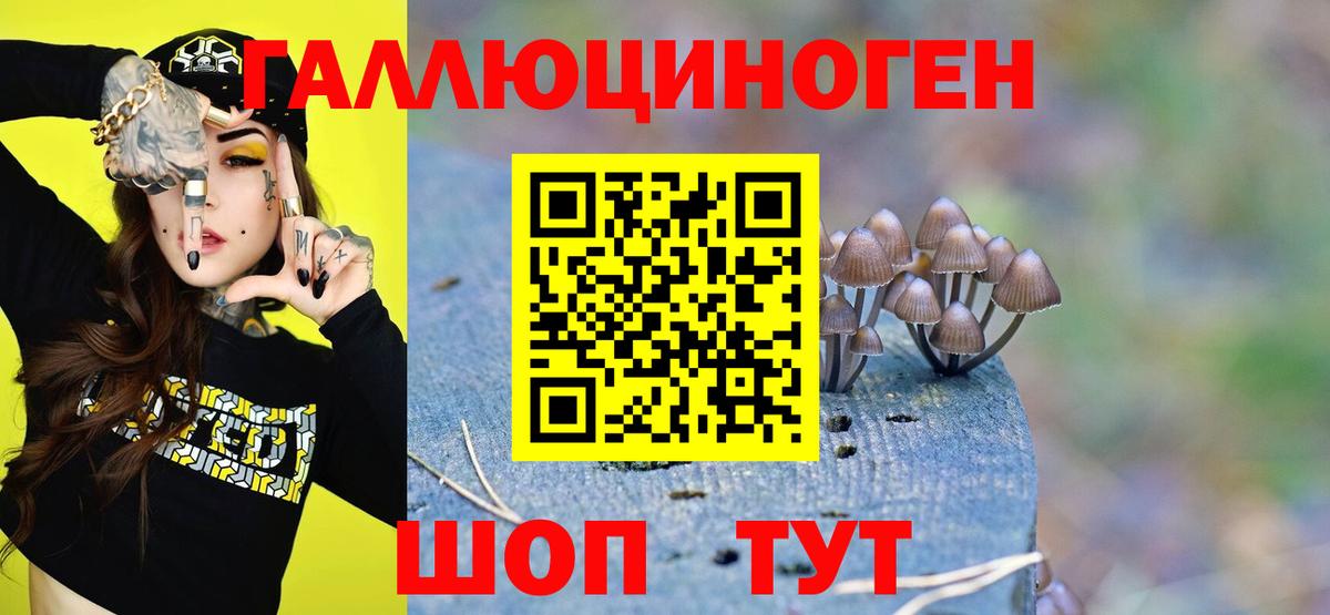Галлюциногенные грибы Psilocybe Югорск